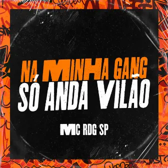 Na Minha Gang Só Anda Vilão by Mc RDG SP