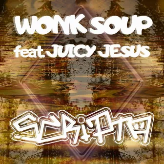 Wonk Soup by Scripta