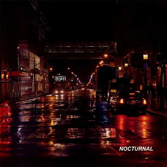 Nocturnal by Friday Ricky Dred