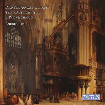 Rare Nineteenth & Twentieth Century Organ Pieces by Andrea Toschi