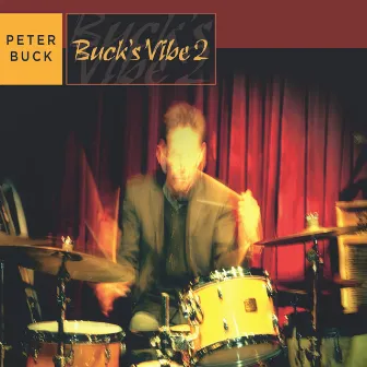 Buck's Vibe 2 by Peter Buck