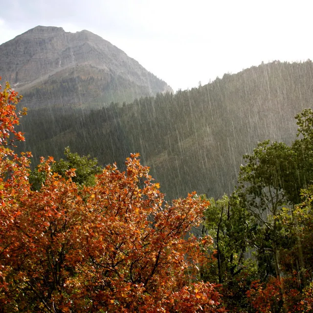 Rhythms of Rainy Asanas: Relaxing Music Rainfall Oasis