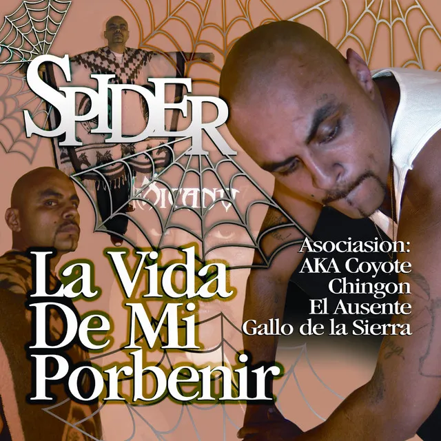 Spider