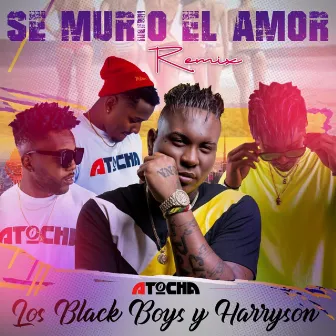 Se Murio el Amor by Los Black Boys