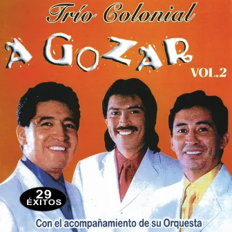 Música de Ecuador: A Gozar 29 Exitos 2 by Trío Colonial