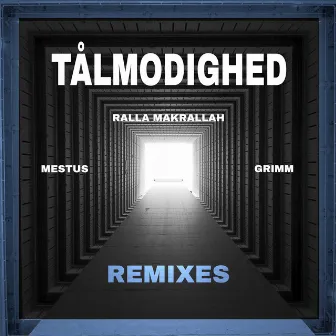 Tålmodighed - Remixes by Mestus