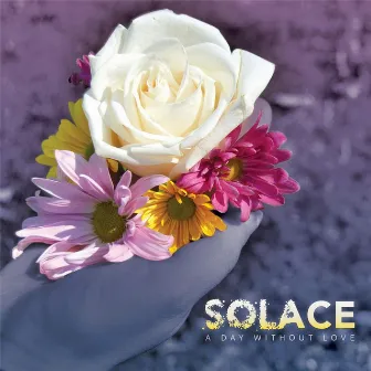 Solace by A Day Without Love