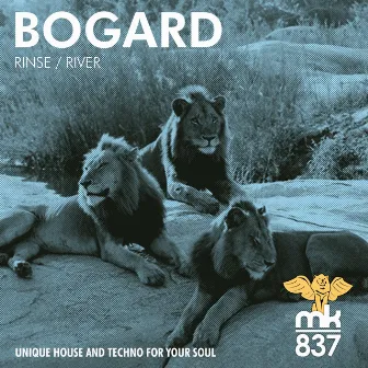 Rinse / River by Bogard (UK)