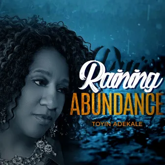 Raining Abundance by Toyin Adekale