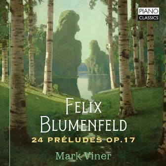 Blumenfeld: 24 Preludes, Op. 17 by Felix Blumenfeld