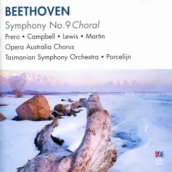 Beethoven: Symphony No. 5, Symphony No. 6 Pastoral by David Porcelijn