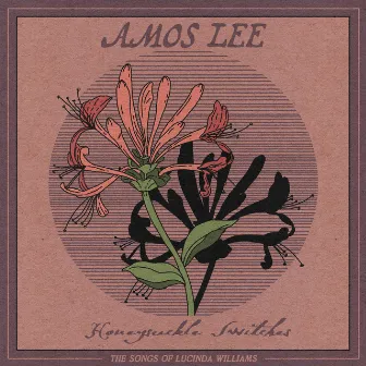 Greenville by Amos Lee