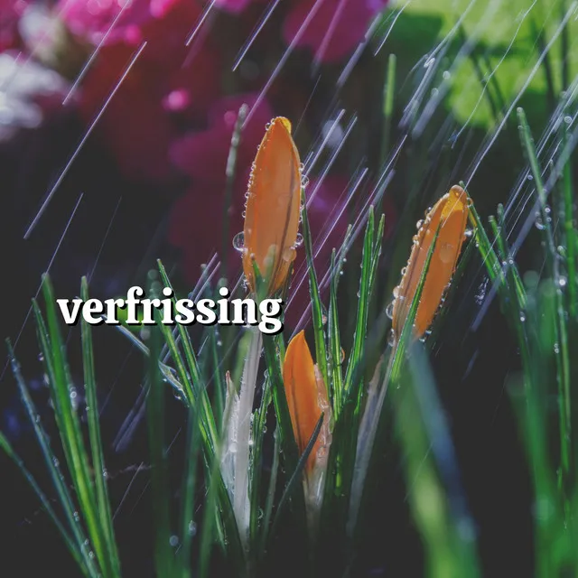 Verfrissing