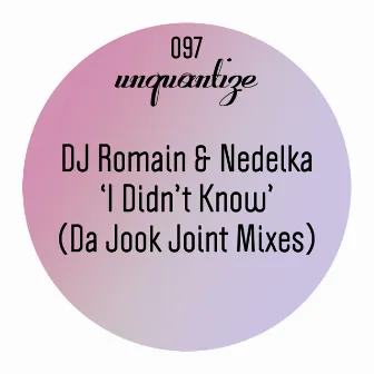 I Didn't Know (Da Jook Joint Mixes) by Nedelka