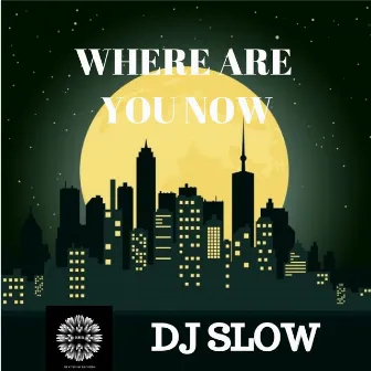 Where Are You Know by DJ Slow