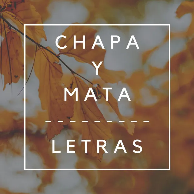 Chapa y Mata