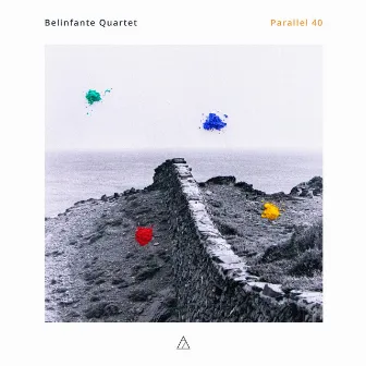 Parallel 40 by Belinfante Quartet