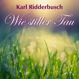 Wie stiller Tau by Karl Ridderbusch