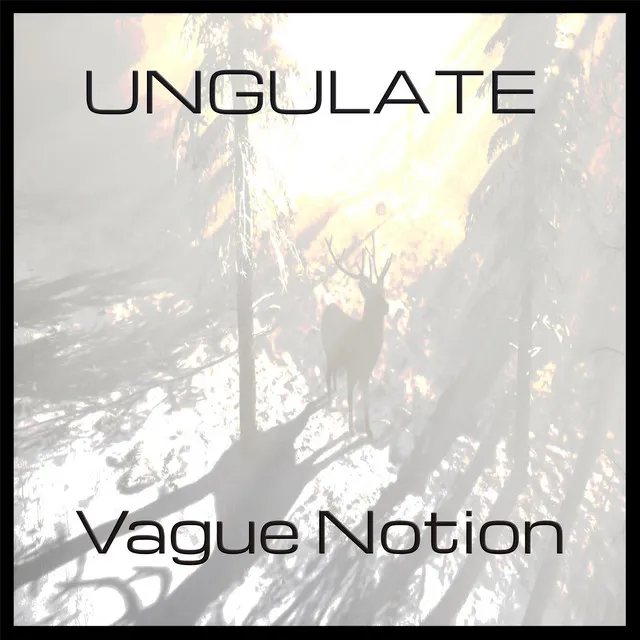 Ungulate