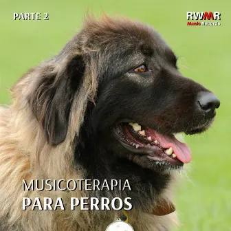 Musicoterapia para perros 2 - Sonidos calmantes para los oídos del perro para relajar a la mascota mientras está fuera, reducir la ansiedad y el estrés by RW Terapia de sonido