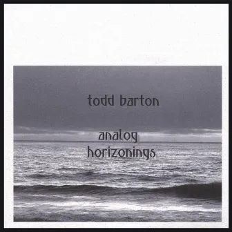 Analog Horizonings by Todd Barton