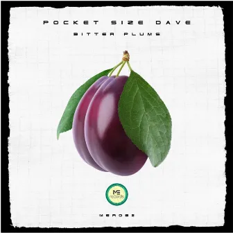 Bitter Plums by Pocket Size Dave