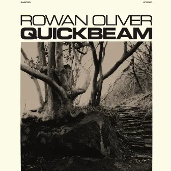 Quickbeam by Rowan Oliver