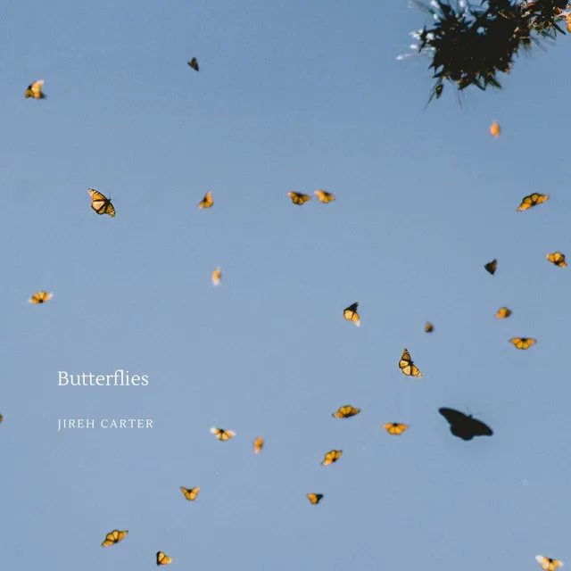 Butterflies (Sped Up)