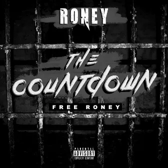 The Countdown (Free Roney) by Roney