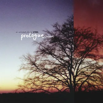 prologue (stripped) by VYEN