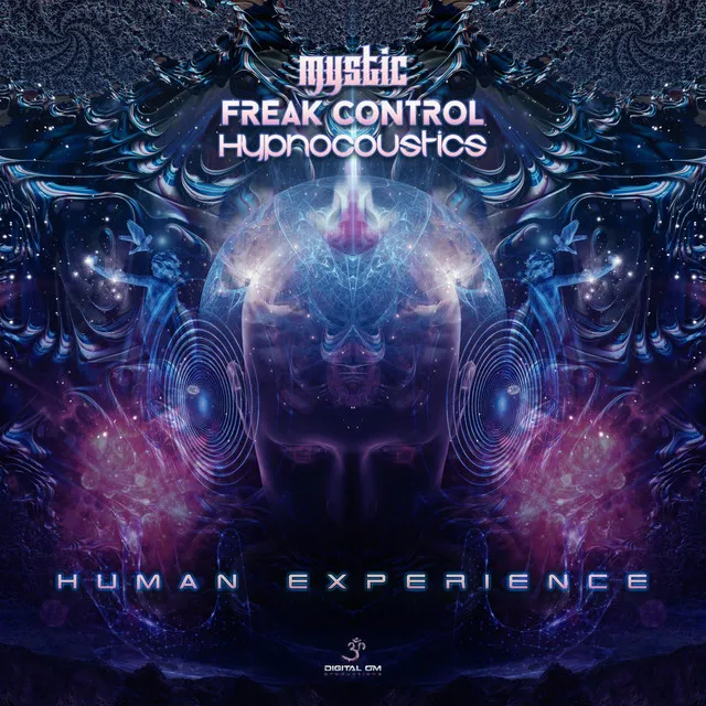 Human Experience - Original