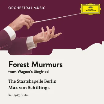 Wagner: Siegfried: Forest Murmurs by Max von Schillings