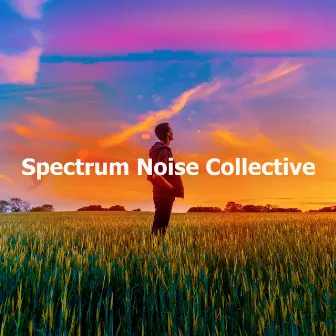 Spectrum Noise Collective by Noise Spectrum