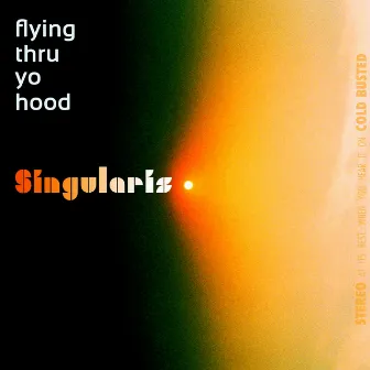 Flying Thru Yo Hood by Singularis