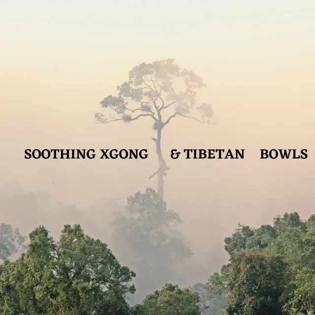 Soothing Xgong & Tibetan Bowls