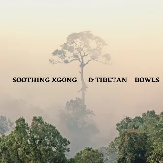 Soothing Xgong & Tibetan Bowls by Sahlene Williams