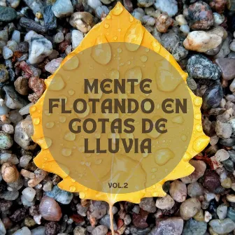 Matices espirituales de la lluvia Vol.2 by Efectos de alta definición