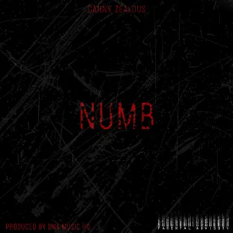 Numb by Danny Zealous