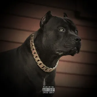 Big Dawg by Yung Bee