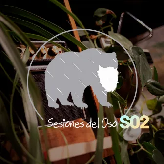 Sesiones del Oso S02 by Bear'd