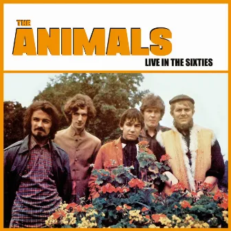 Live In The Sixties by The Animals