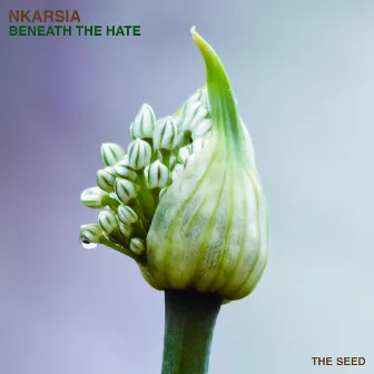 Beneath the Hate by Nkarsia