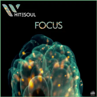 Focus by WhiteSoul