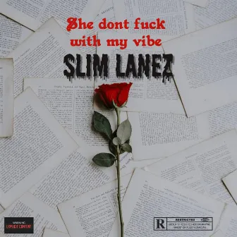 SHE DONT FUCK WITH MY VIBE by Slim Lanez