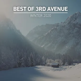 Best of 3rd Avenue | Winter 2020 by Christian Monique