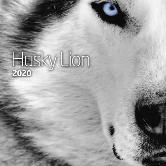 2020 by Husky Lion