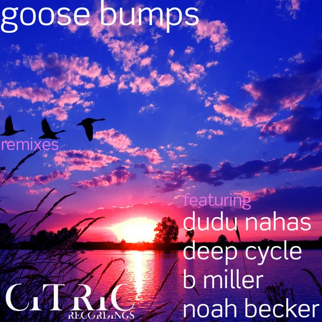 Goose Bumps - Dudu Nahas Remix