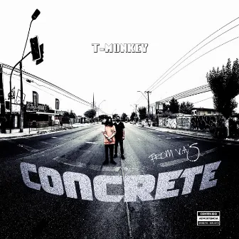 From V.A's Concrete by T Monkey