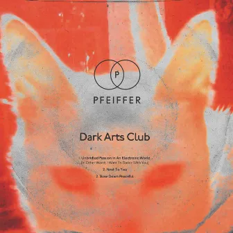 Unbridled Passion in an Electronic World (In Other Words I Want to Dance with You) by Dark Arts Club