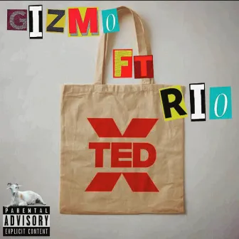 Ted Talk by Luh Gizmo